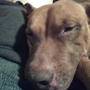 Meet your Posher, Patrick